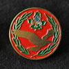 znacka:znacka_izvidjaci_2
